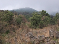 nte Cagliato-20111114 021
